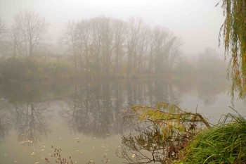 осенний пнйзаж / Октябрь.Туман на озере.