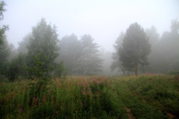 Туман ..лето / Июль