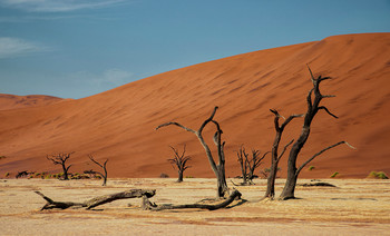 Долина Смерти / Пустыня Намиб.
Мертвая долина Дидвлей (Deadvlei) -Окруженная дюнами Соссуфлей (Sossusvlei) глинистая впадина находится на дне высохшего озера ,среди красных дюн, и знаменита окаменевшими деревьями верблюжьей акации