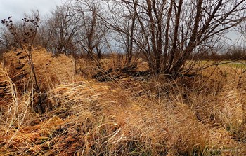 ветер осени. Холмогоры 26.10.2019 / music: Bremer &amp; McCoy - Tusmørke
https://www.youtube.com/watch?v=VAVnh-E-dI0