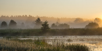 Лето, утро. / Летние туманы. Фрагмент озера Сосновое.