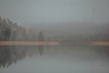 туман на озере / осенние туманы