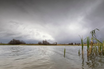 На озере / Корчага. Филейка. Киров.