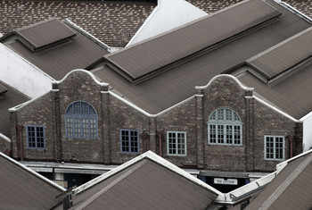 Близнецы, но не братья / ~~~