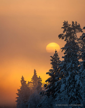 Зимний туман / неподалеку Кольская АЭС производит облака и туман, которые укутывают и дорогу и лес? и в низком свете заполярного солнца создается впечатление театрального действа и волшебства.