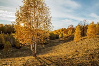  / п.Новочувашский,Татарстан