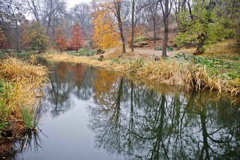 осень наступает.. / Софиевка.Осенний пруд.
