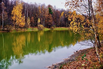 Последний аккорд осени / Пейзаж с озером