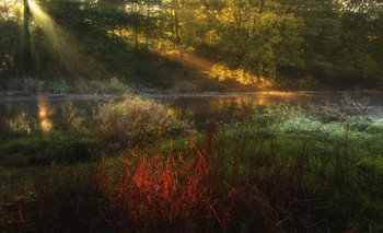 &nbsp; / Утренний костёр