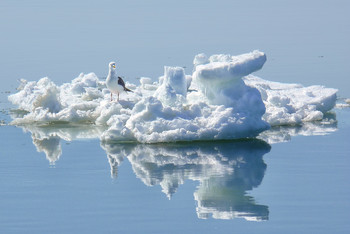 mini iceberg / Весной в Охотском море..