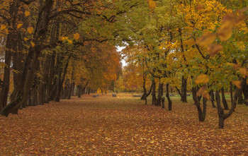 &nbsp; / Лошицкий парк в Минске в октябре 2019