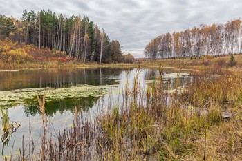 &nbsp; / озеро в Ильинской балке.Татарстан,п.Ильинское