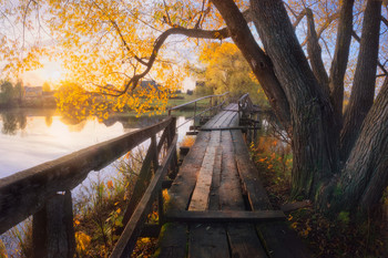 Осень в Окунево / Двухрядная панорама с брекетингом на берегу Окуневского пруда.
