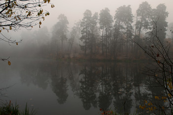 Утро на озере. / Утро,озеро,туман.