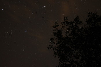 фото ночного неба. / звезды