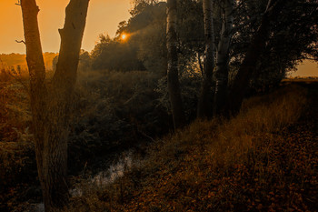 У ручья / Крым