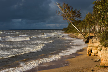 &nbsp; / Балтика