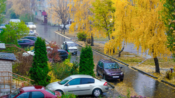 Дождливое настроение / На улице дождик, слякоть бульварная... Хорошо смотреть из окна теплой квртиры на осенний дождь, в багрец и золото одетые деревья, слушать мелодию дождя!