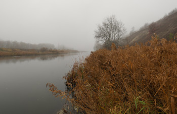 Осенний Айдар / утро,туман,река