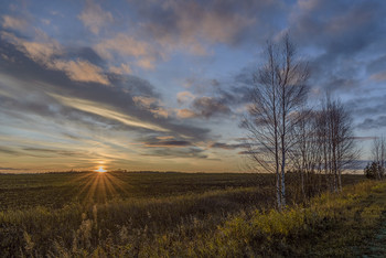 *Осенний закат** / Поздняя осень, серая и неприглядная. И только небо добавляет красок
