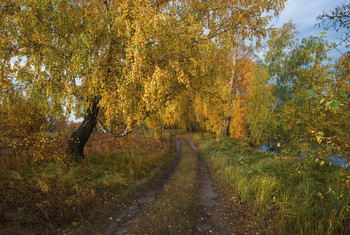 &nbsp; / Осенние мгновения.