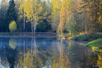 В весеннем пруду......... / Петербург. Шуваловский парк. Май