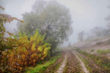 утро туманное.. / Осень.Туанное утро..