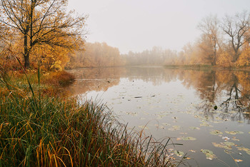 на озере / осень,рассвет,туман