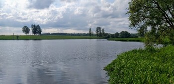 АРОМАТЫ ЛЕТНЕГО ВЕЧЕРА / Есть в летнем воздухе, под вечер,
Зовущий выйти аромат…
Он эликсиром сердце лечит,
Души волнуя чудный сад....