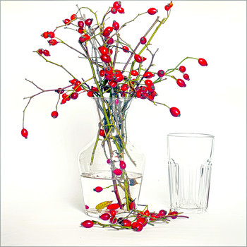   / Натюрморт