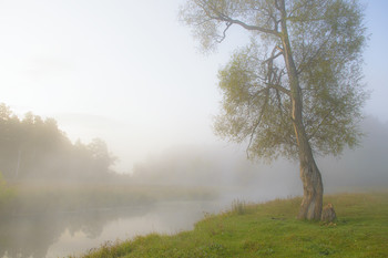 &nbsp; / Утро в сентябре