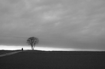 &nbsp; / Мрак в ноябре