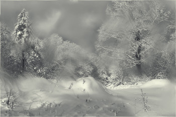 окно в зиму / Лазовский перевал, Приморская тайга