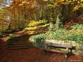 Harburger Stadtpark &amp; Außenmühlenteich Hamburg / Альбом «Пейзаж»: http://fotokto.ru/id156888/photo?album=76852 Альбом «вересковая долина, парки, дюны»: http://fotokto.ru/id156888/photo?album=75053
Необыкновенно красивое место отдыха в Гамбурге Harburger Stadtpark &amp; Außenmühlenteich. Это искусственное озеро в районе Гамбург-Хагбург (Hamburg-Harburg) длиной около 1 км и шириной 250 метров. На южном и западном берегах озера находится гороской парк района Харбург, на восточном берегу озера раскинулся роскошный развлекательный комплекс MidSommerland с бассейнами, кафе, местом для гриля. Вокруг озера &quot;дорога здоровья&quot; для любителей бега, пеших и велосипедных прогулок составляет 5 км. Чайки, лебеди, гуси, канадские казарки, камышницы и лысухи обитают на этом озере. Подробнее в моем блоге: http://fotokto.ru/blogs/aussenmhlenteich-hamburg-harburg-32611.html
Смотрите слайд-шоу об этом парке:
Harburger Stadtpark &amp; Außenmühlenteich Hamburg :

https://www.youtube.com/watch?v=jbG7j-3WUNs

Слайд-шоу &quot;Осенний бал&quot;:

https://www.youtube.com/watch?v=QshlHtT0t6g

Моё фото на конкурсе «Настроение: золотая осень»:
http://fotokto.ru/photo/concurs?id=166&amp;success#concurs127318