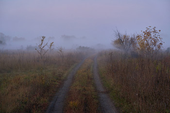 &nbsp; / дорога, туман,осень