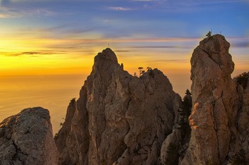 Золотое утро / ***