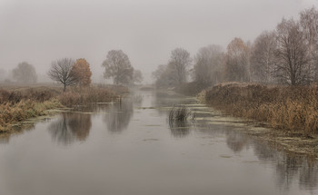 Унылая пора... / 05.11.2015.