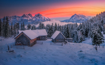 &nbsp; / Morgens auf der Scheibelalm in der Steiermark