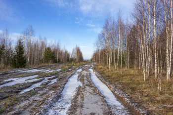 Застывшие дороги / Пермский край