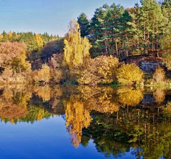золотая осень / Осень.В озеро смотрят золотые березы..
