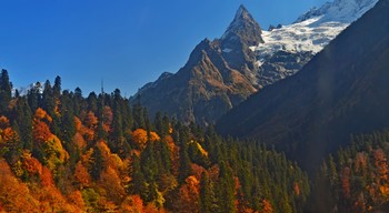 Кавказская осень.... / Кавказ. Домбай. Вид на пик Инэ (Игла). Октябрь