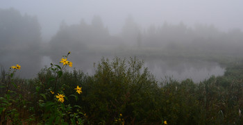 Туманное утро на озере / ***