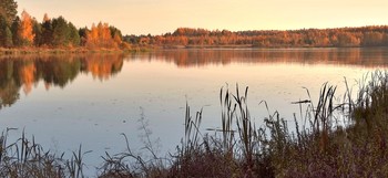 Панорама на лесное озеро осенью / Панорама на лесное озеро осенью