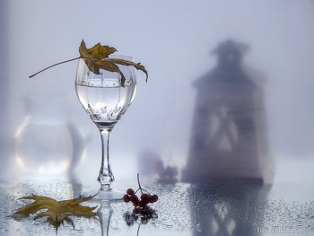 Осенний сплин / натюрморт на мокром стекле