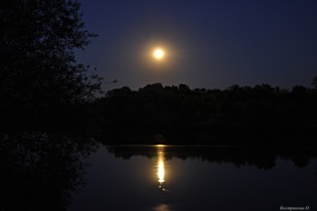 Лунная ночь на Дону. / Ночь. Дон. Луна. И лунная дорожка... Как в сказке побывали.