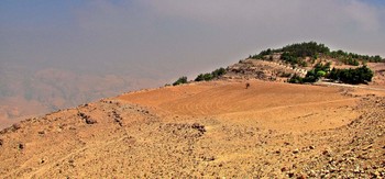 Оазис в горной пустыне / Оазис в горной пустыне Иордании по дороге в Петру