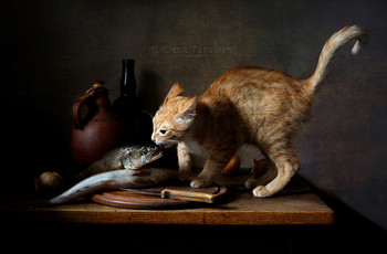 Хищники / натюрморт с молодым котиком и рыбой