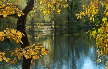 Осень на Щучьем пруду ... / В огромном лесопарке Кузьминки ...