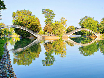 С широко раскрытыми глазами / утро в городском парке