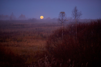 Утренняя Луна / Снято под Мещовском
